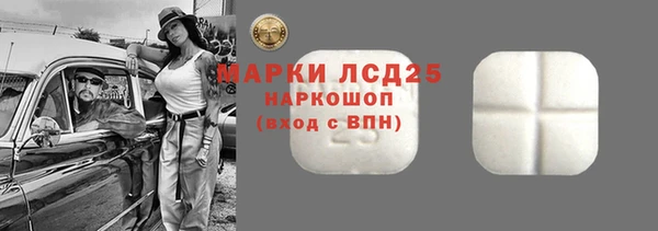 гашик Карпинск