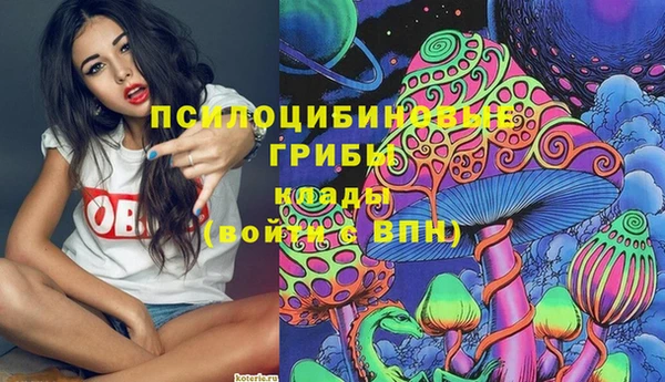 сатива Карталы