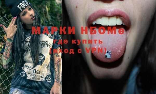 гашик Карпинск