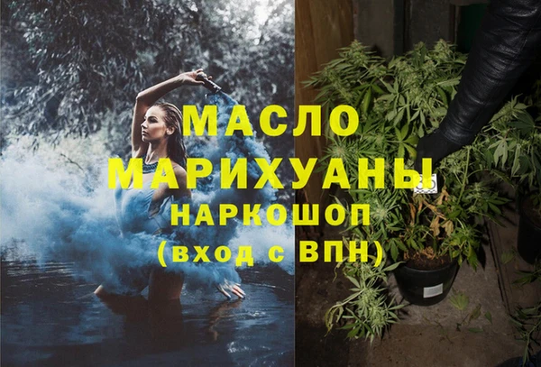 гашик Карпинск