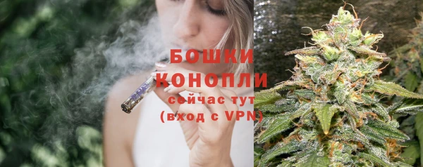 сатива Карталы