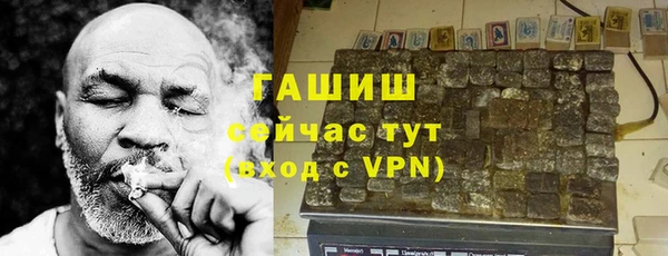 гашик Карпинск