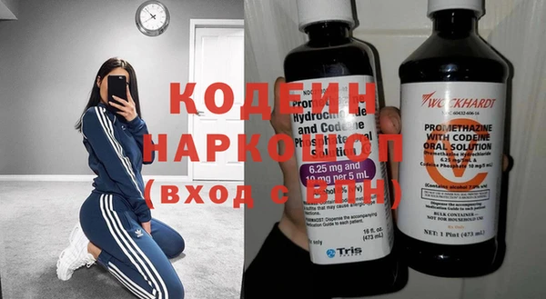 гашик Карпинск