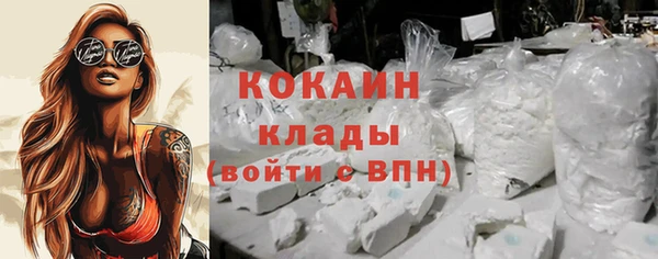 гашик Карпинск