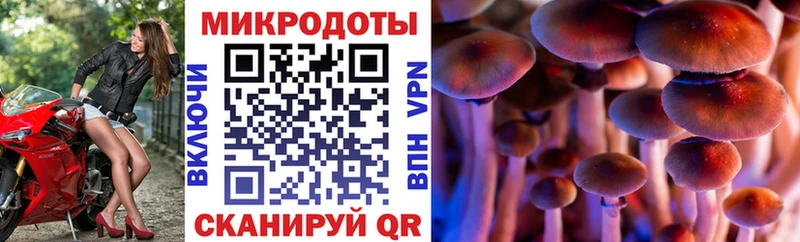 Псилоцибиновые грибы мухоморы  Купить  Буйнакск 